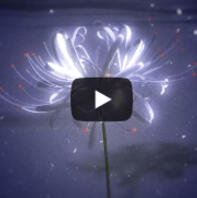 Periss Animations (z.B Debut Trailer)